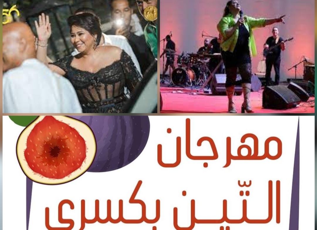 ما بقي من المهرجانات الصيفية ..اعتداءات ..اخلال بالالتزامات ..غاز مسيل للدموع وحركات منافية للأخلاق